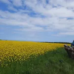 Ostseerauschen *