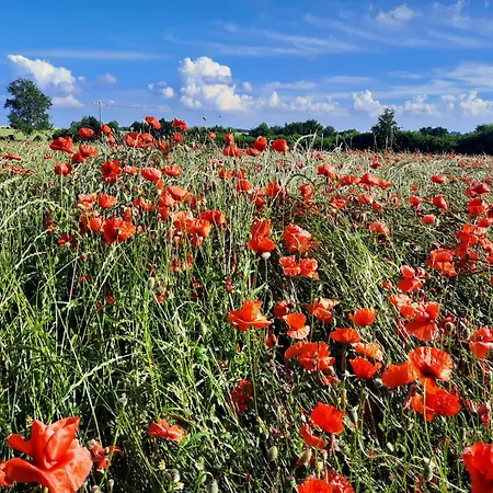 Ostseerauschen Apartment
