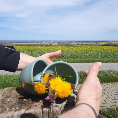 Apartment Ostseerauschen *