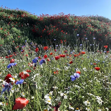 Ostseerauschen Apartment Rostock