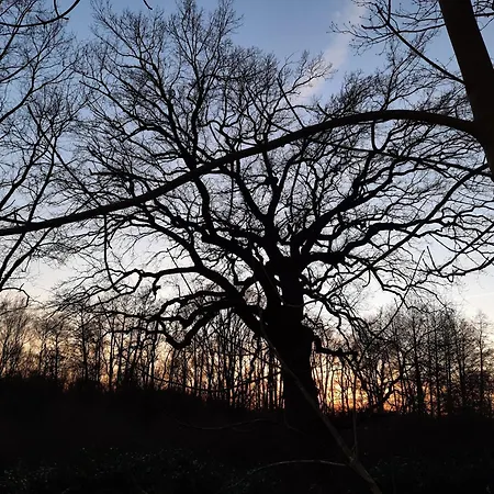 Apartment Ostseerauschen Rostock