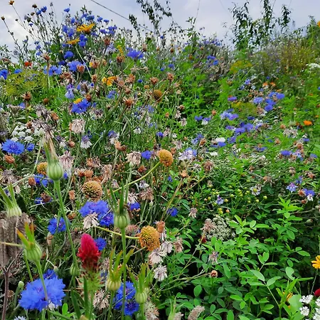 Apartment Ostseerauschen