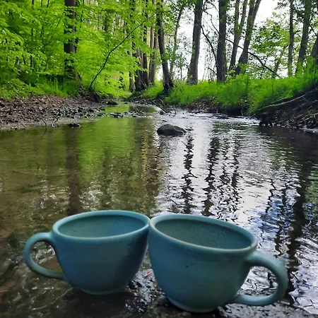 Apartment Ostseerauschen *