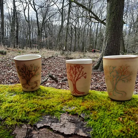 Apartment Ostseerauschen