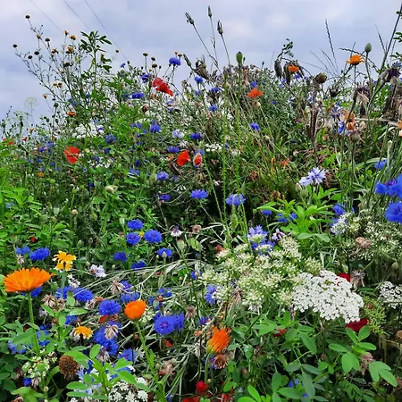 Ostseerauschen Apartment Rostock