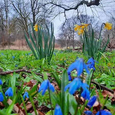 Apartment Ostseerauschen *