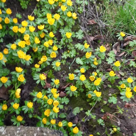 Ostseerauschen Rostock