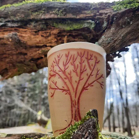 Apartment Ostseerauschen *