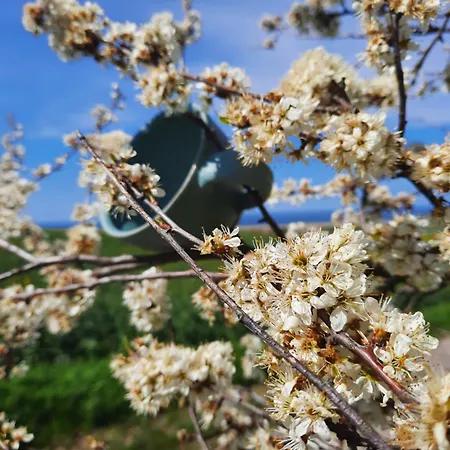 Ostseerauschen Apartment *